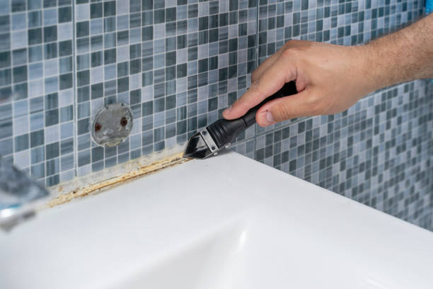 Best White Mold Remediation in Dahlgren, VA