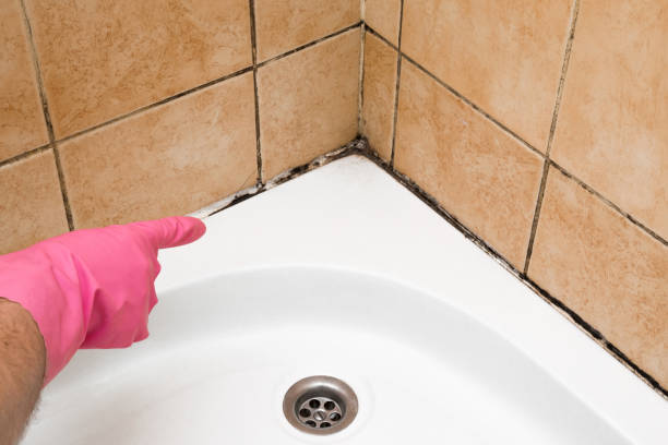 Best Residential Mold Remediation in Dahlgren, VA